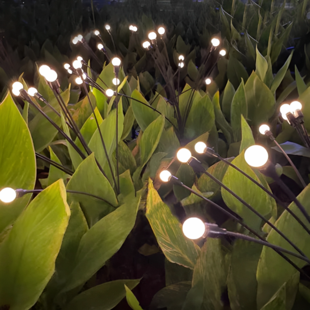 Solar Firefly Lights