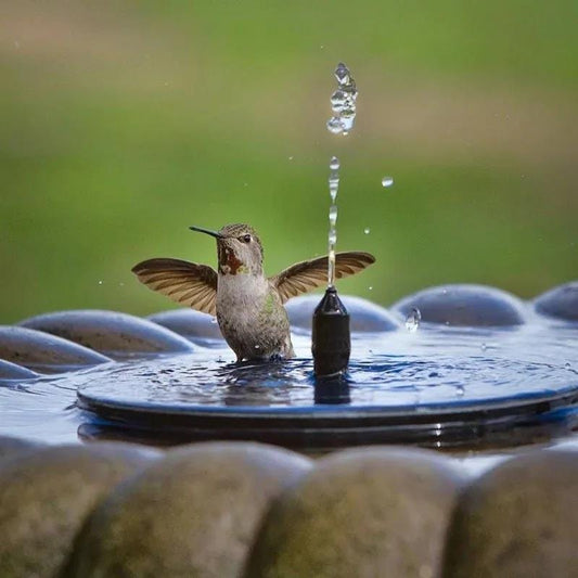 SolarSpray™️ Water Fountain Kit